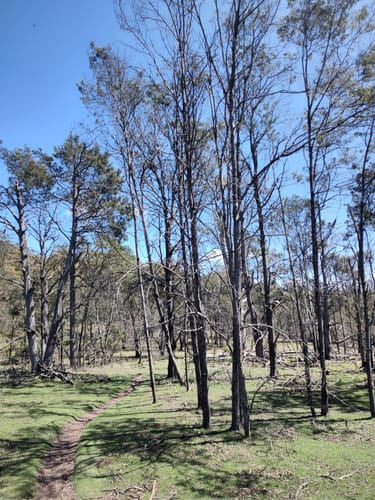 2023 Best trails in Kate Reed Nature Recreation Area | AllTrails