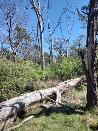 2023 Best trails in Kate Reed Nature Recreation Area | AllTrails