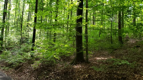 Lauftour ELT3