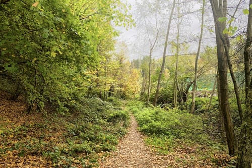 Pfänderbachtal Runde
