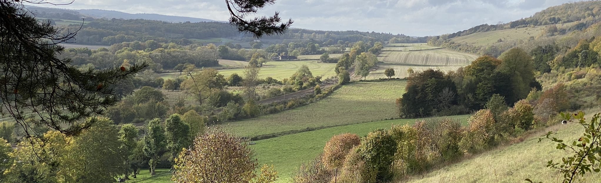 Polesden Lacey Estate - Ranmore Common Circular, Surrey, England - 14 ...