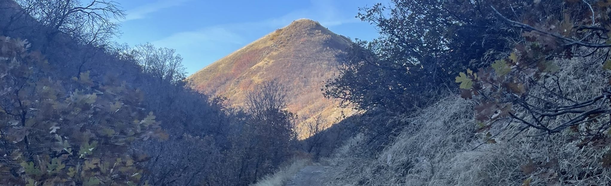 Limekiln to Dry Creek Loop 113 Reviews, Map Utah AllTrails