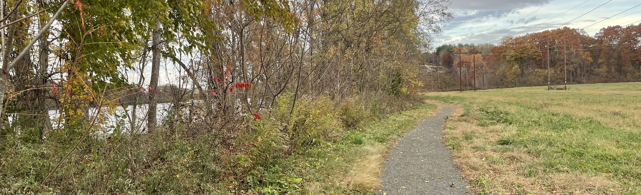 Bachelor Brook/Stony Brook Loop 63 Reviews, Map Massachusetts