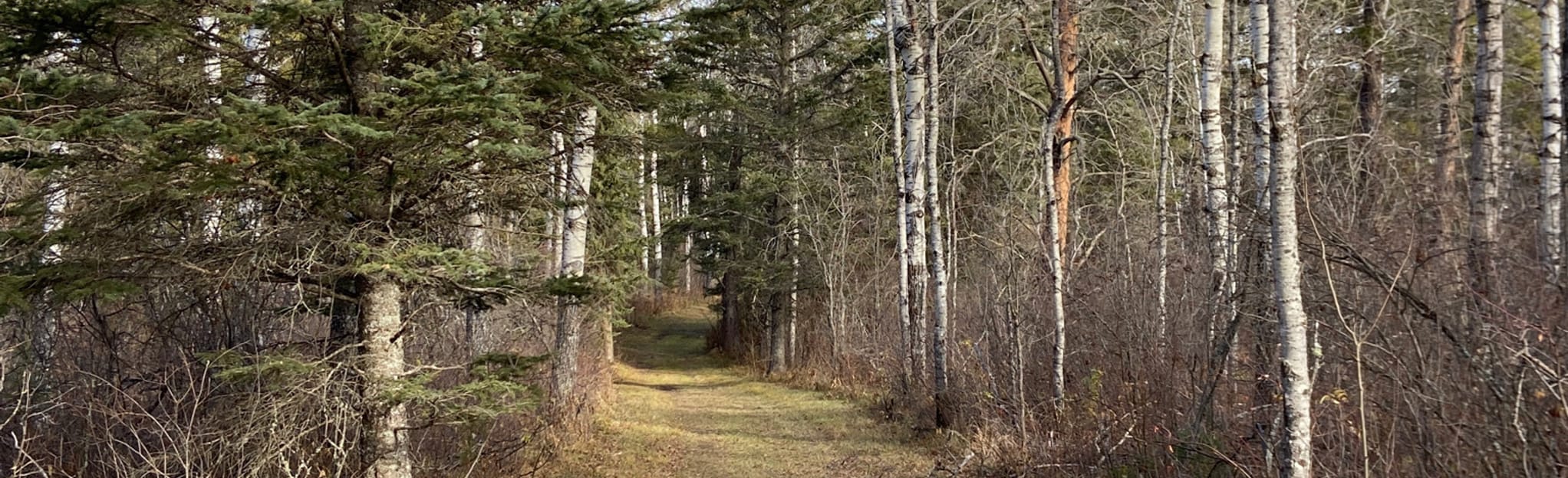 Cowan Lake 8 Reviews, Map Manitoba, Canada AllTrails