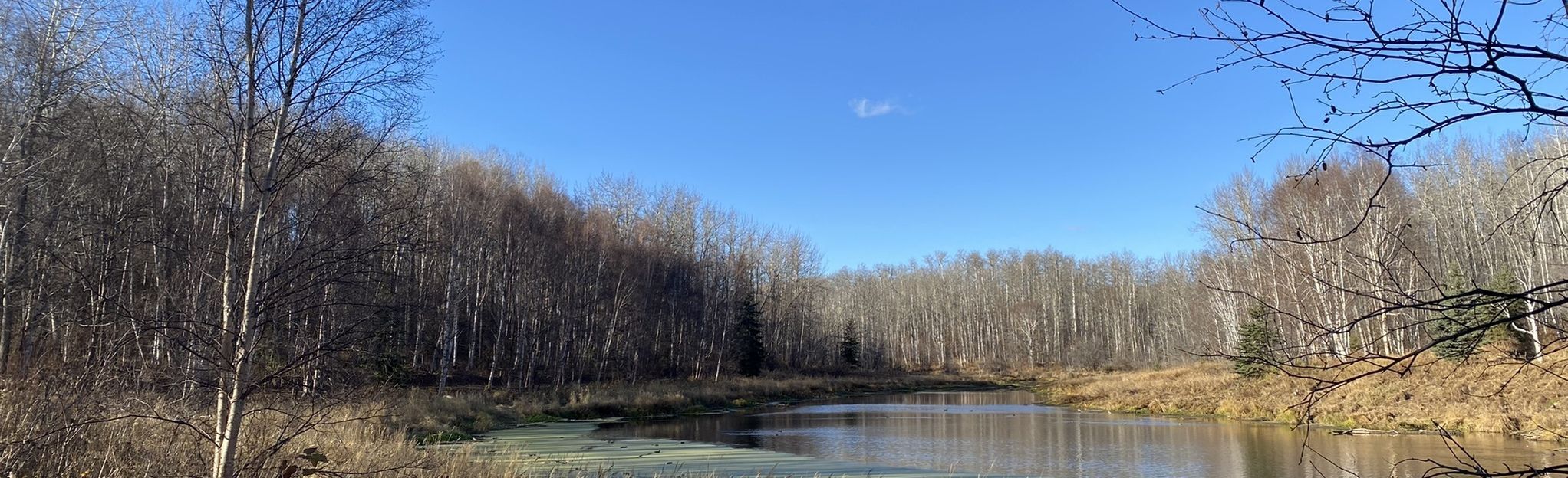 Chickakoo Lake Nature's Way via Cranberry Corner, Alberta, Canada - 6 ...