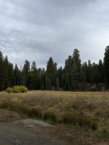 Sequoia national 2025 park alltrails