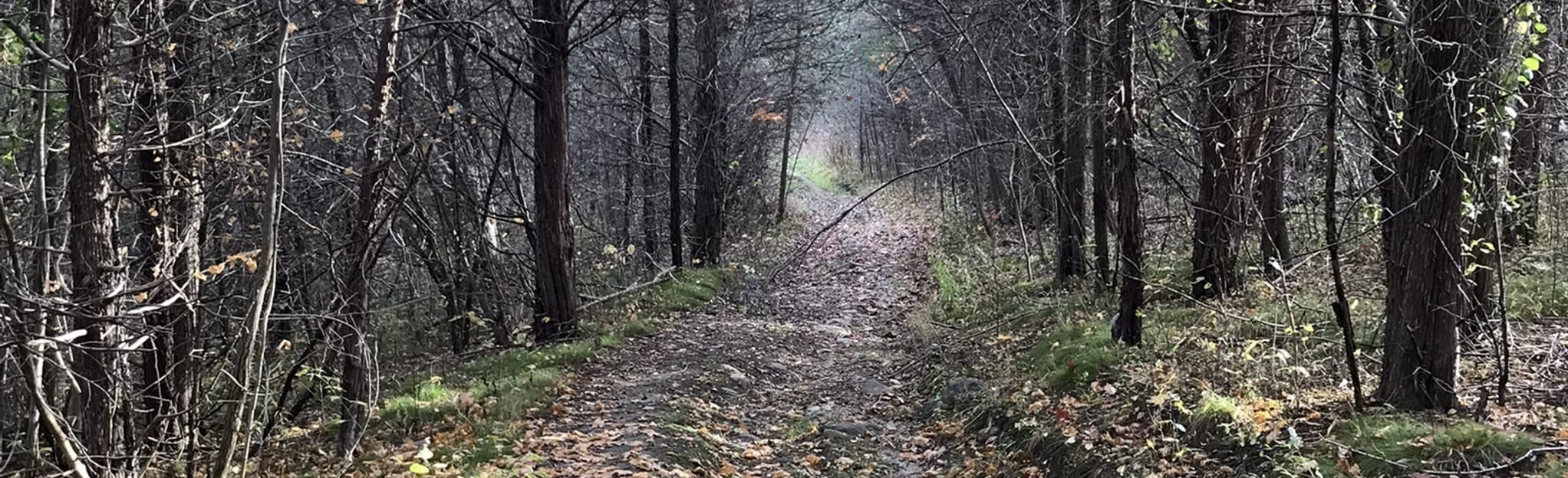 Batawa North Loop, Ontario, Canada 40 Reviews, Map AllTrails