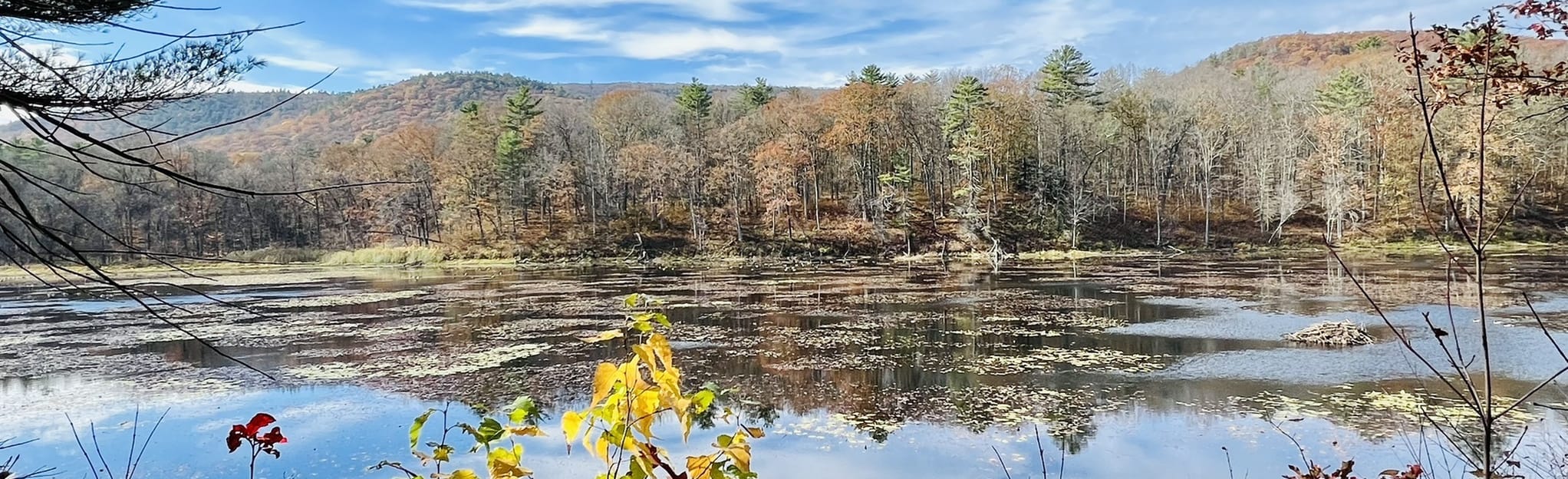 Moreau Lake and Mud Pond Loop 552 foto's New York AllTrails