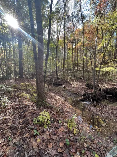 Chattahoochee bend hotsell state park hiking