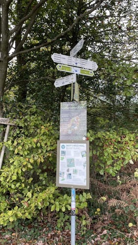 Rundweg: Sulz - Langenhard