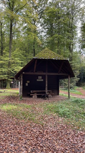 Rundweg: Sulz - Langenhard