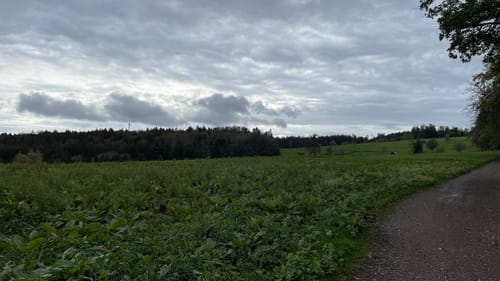 Rundweg: Sulz - Langenhard