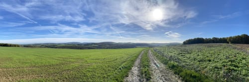 Pfälzer Höhenweg Etappe 5: Obermoschel - Meisenheim