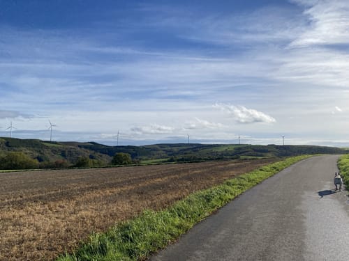 Pfälzer Höhenweg Etappe 5: Obermoschel - Meisenheim
