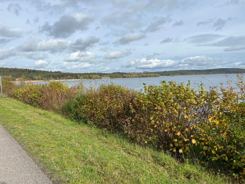 Fränkisches Seenland 138: Rund um den kleinen Brombachsee