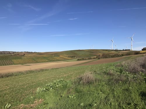 Kleiner Mainzer Höhenweg