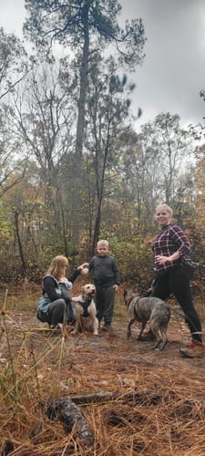 Best Hikes and Trails in Redden State Forest AllTrails