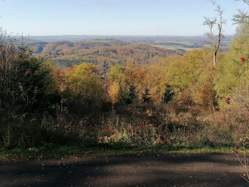 Fellingshausen: Archäologischer Wanderweg auf den Dünsberg