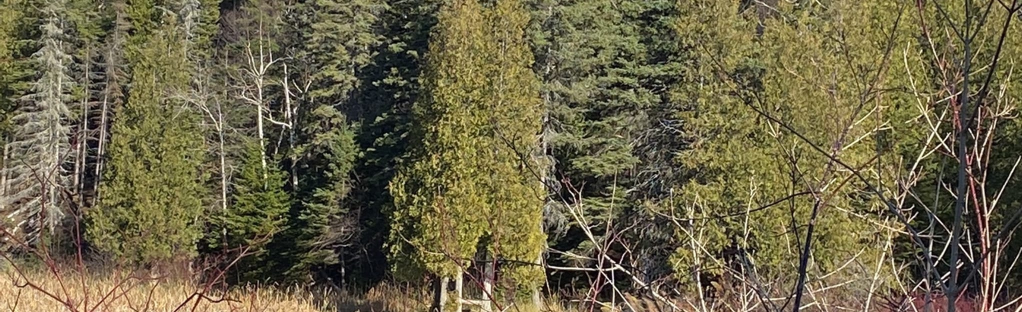 AllTrails Riverside Path of the Matane Trail 21 Reviews, Map