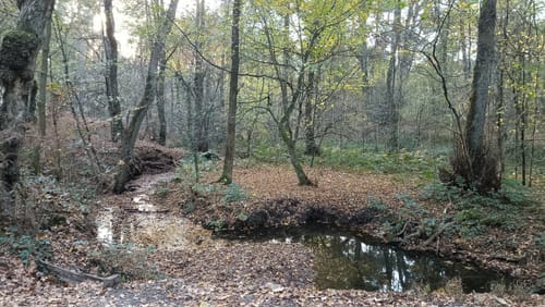 Hilden: A1 Zur Spendereiche