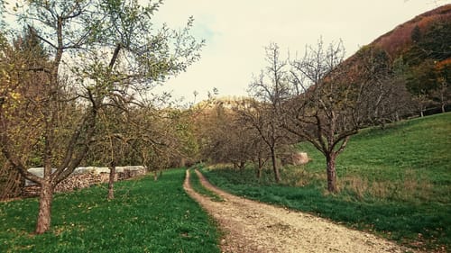 Tobeltal Rundwanderung