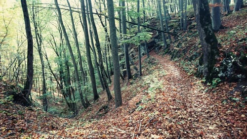 Tobeltal Rundwanderung