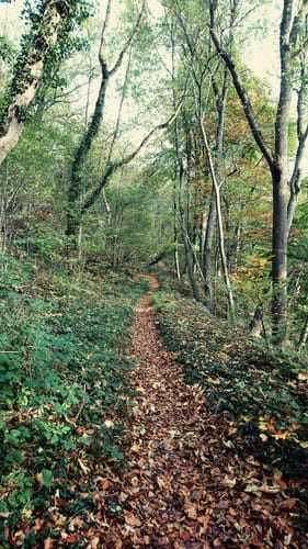 Tobeltal Rundwanderung
