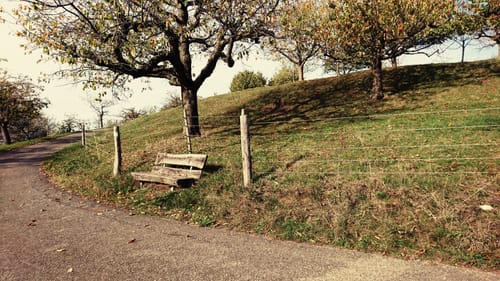 Neidlinger Tal Höhenweg