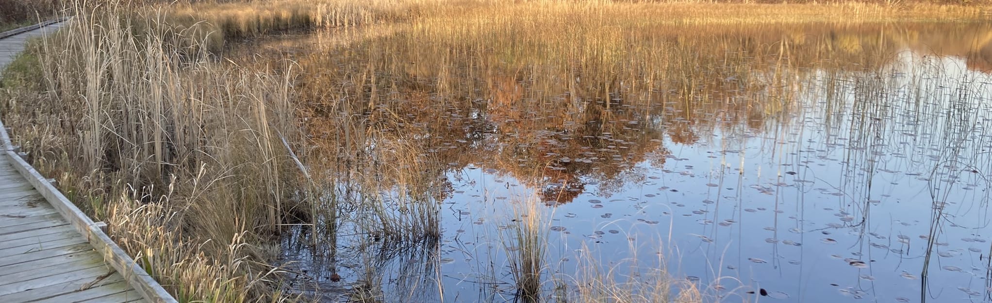 Pine Knob Trail, Indiana 67 Reviews, Map AllTrails