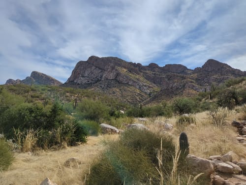 Best 10 Hikes and Trails in Pusch Ridge Wilderness | AllTrails
