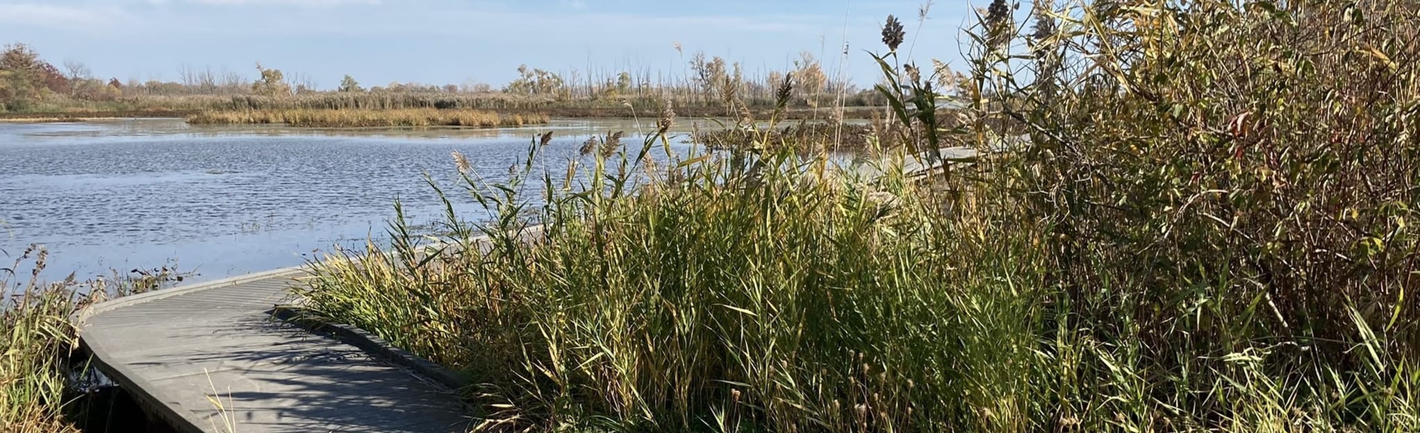 Hillman Short Loop, 17 Photos Ontario, Canada AllTrails