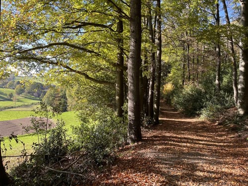 Elfringhauser Schweiz