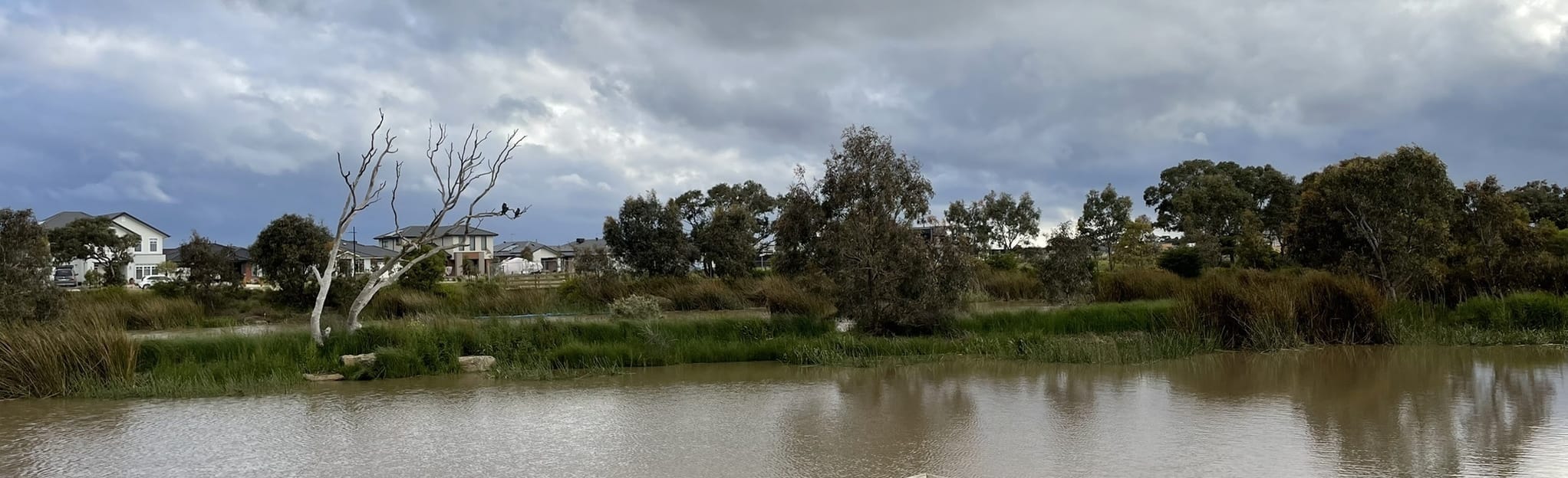 Armstrong Creek Loop, Victoria, Australia 37 Reviews, Map AllTrails