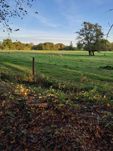 Zwischenahner Meerweg