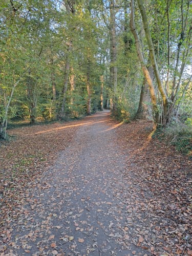 Zwischenahner Meerweg