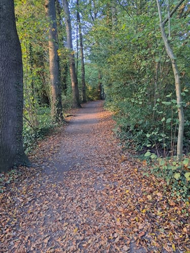 Zwischenahner Meerweg