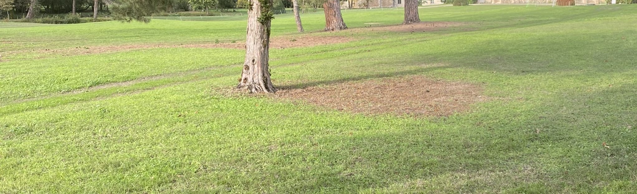 Arsac, Labarde, Arcins, Avensan Radtour 16 Fotos Gironde, Frankreich