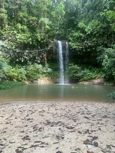 Lambir Hills National Park - O que saber antes de ir (ATUALIZADO 2023)