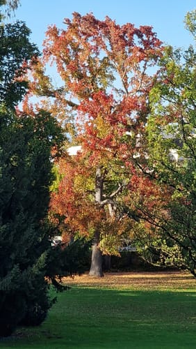 Vom Schlosspark zur Wendt Hütte
