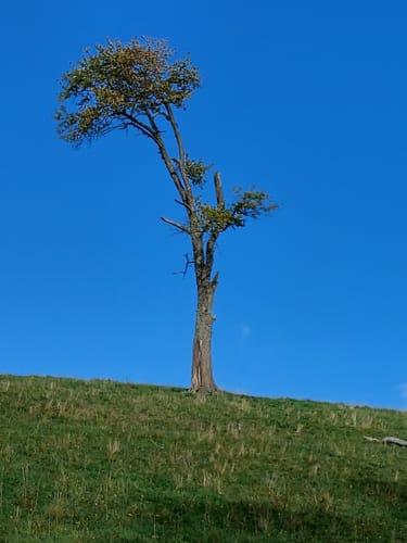Erlebniswege Sieg: Der Landlebenweg
