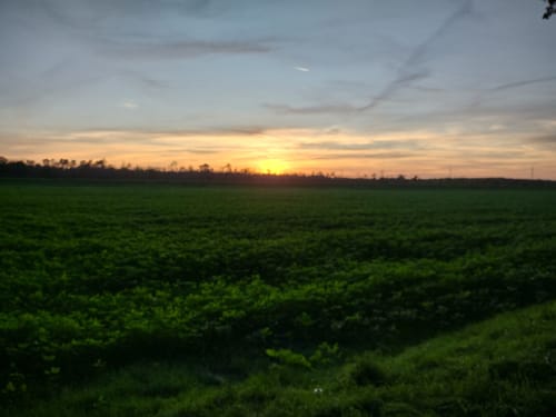 Zugmantel-Bandholz Rundweg