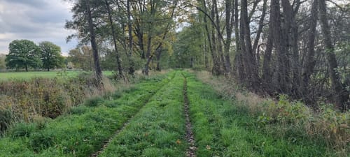 Springhorstsee und Dritter Mühlenbruchdamm