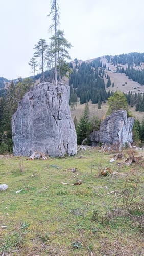 54