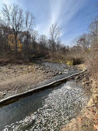 10 Best Trails and Hikes in Akron | AllTrails