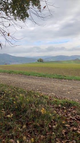 Faltl-Edi-Weg