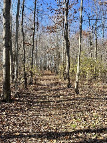 Best Hikes and Trails in Meridian-Baseline State Park | AllTrails