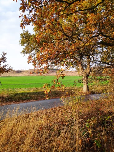 Tour um Selliner See
