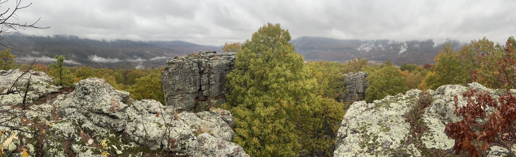Stack Rock Trail, Arkansas 34 Reviews, Map AllTrails