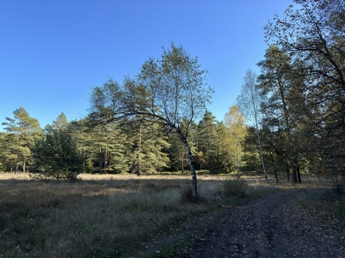 Im Reich der Heidschnucken (lange Tour)