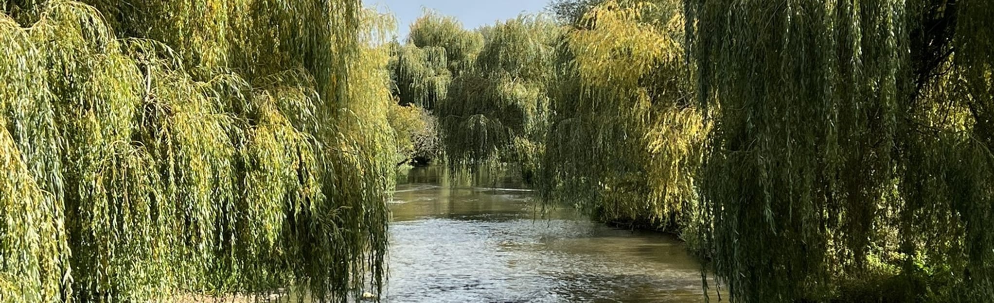 Kintbury Woodland and and Avon Canal Circular, Berkshire